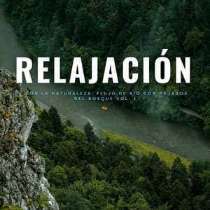 Relajación Con La Naturaleza: Flujo De Río Con Pájaros Del Bosque Vol. 1 - Sonidos relajantes del agua