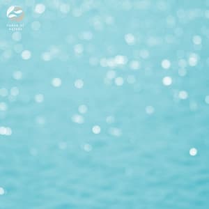 Mindful Meditation - Tamera