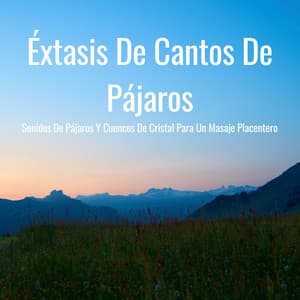 Éxtasis De Cantos De Pájaros: Sonidos De Pájaros Y Cuencos De Cristal Para Un Masaje Placentero - Pájaros en el Bosque