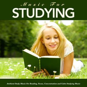 Music For Studying: Ambient Study Music For Reading, Focus, Concentration and Calm Studying Music - Studying Music