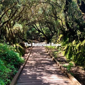 The Botanical Bops - Jazz Trio