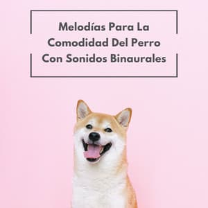 Melodías Para La Comodidad Del Perro Con Sonidos Binaurales - Musicoterapia para perros