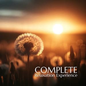 Complete Relaxation Experience - Relaxing Music Master