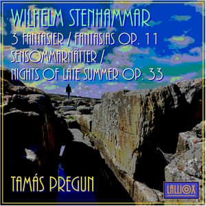 Stenhammar: 3 Fantasier / Fantasias Op. 11 & Sensommarnätter / Nights of Late Summer Op. 33 - W. Stenhammar