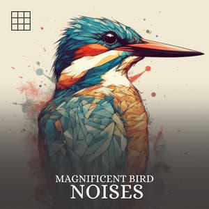#01 Magnificent Bird Noises - Bird Sounds