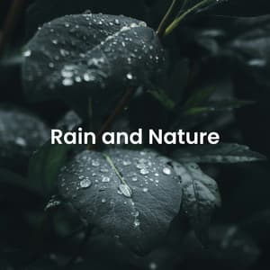 Natural Harmony: Relaxing Sounds of the Wilderness - Nature Field Recordings