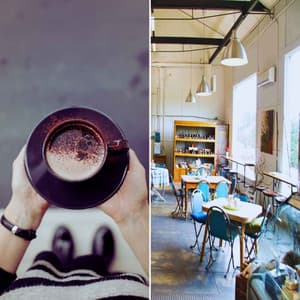 Music for Perfect Seasons - Chill Lounge Vibes