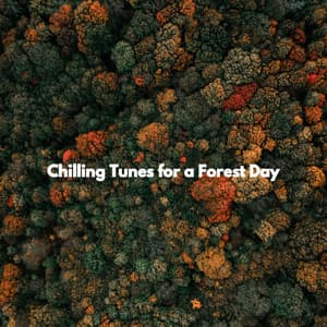 Chilling Tunes for a Forest Day - Música para Tiendas De Lujo