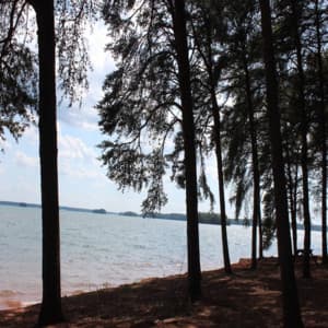 Bakgrundsljud för Studier, Meditation och Avslappning - Meditation och Avslappning