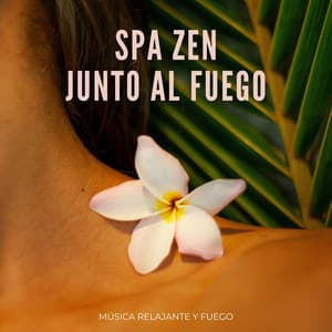 Spa Zen Junto Al Fuego: Música Relajante Y Fuego - Ambiente de selva tropical