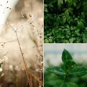 Big Band Ballad with Vibraphone - Ambiance for Cozy Wednesday - Musica para Leer Playlist