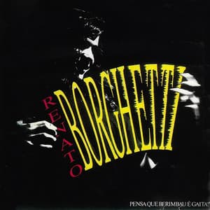 Pensa Que Berimbau É Gaita? - Renato Borghetti