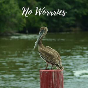 No Worries - Serenity of Sound