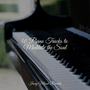 50 Piano Tracks to Meditate the Soul - Ivory Mood