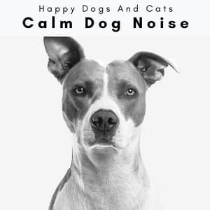 4 Paws: Calm Dog Noise - Happy Dogs And Cats