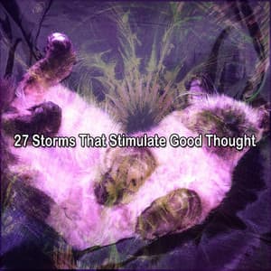 27 Storms That Stimulate Good Thought - Rain