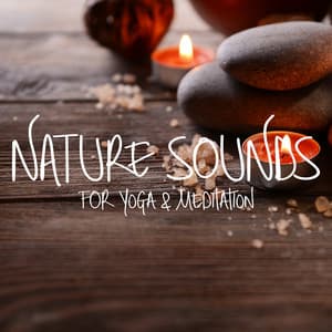Nature Sounds for Yoga & Meditation - Nature Chillout
