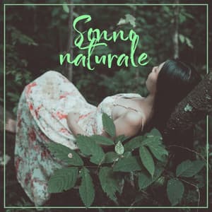 Sonno naturale: Suoni della natura da ascoltare e rilassarsi prima di dormire - Relax musica new age club