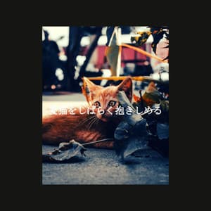 愛猫をしばらく抱きしめる - Jazz Radio