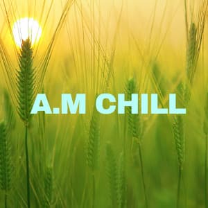 A.M Chill - Morning Chill Out Playlist