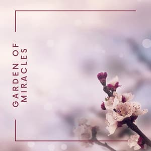 Garden of Miracles - Isabel Sallow
