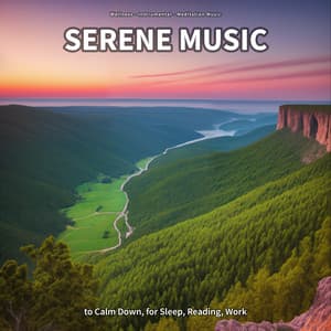 Serene Music to Calm Down, for Sleep, Reading, Work - Wellness