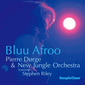 Bluu Afroo - Pierre Dørge