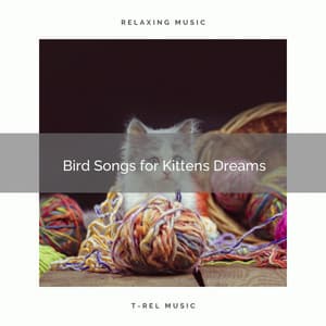 Bird Songs for Kittens Dreams - Music for Relaxing Cats