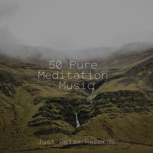 50 Pure Meditation Music - Deep Sleep Relaxation