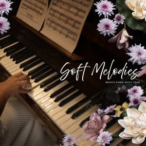 Soft Melodies - Brunch Piano Music Zone