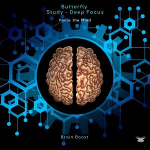 Brain Boost - Focus the Mind