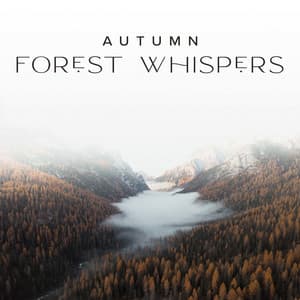 Autumn Forest Whispers Meditation – Nature and Rain Sounds, Relaxation & Deep Sleep - Jane - Angela Flying