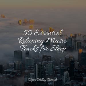 50 Essential Relaxing Music Tracks for Sleep - Rain Sound Plus