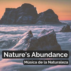 Nature's Abundance - Música de la Naturaleza