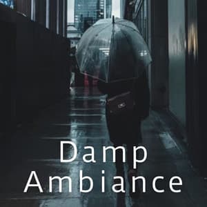 Damp Ambiance - Binaural Beats Spa