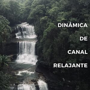 Dinámica De Canal Relajante - Artistas de sonidos de la naturaleza