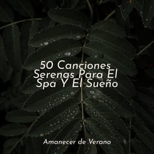 50 Canciones Serenas Para El Spa Y El Sueño - Musica Relajante & Yoga
