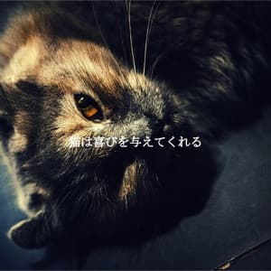 猫は喜びを与えてくれる - Deluxe Cafe Music