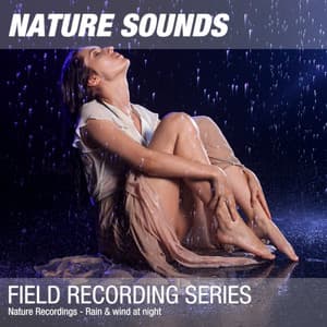 Nature Recordings - Rain & wind at night - Nature Sounds