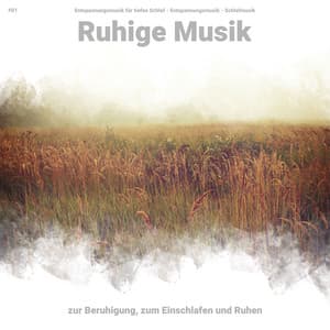 #01 Ruhige Musik zur Beruhigung, zum Einschlafen und Ruhen - Entspannungsmusik für tiefen Schlaf