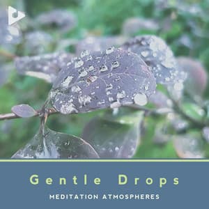 Gentle Drops - Meditation Atmospheres