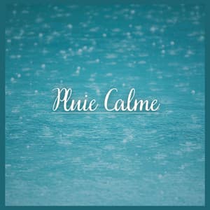 Pluie Calme - Sons De Pluie