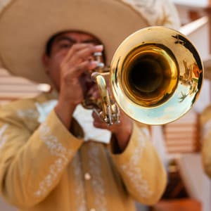 Mellow Jazz Vibes for Stress Relief - Lovely Heart Zone