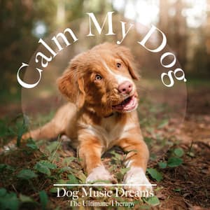 Calm My Dog: Dog Music Dreams - The Ultimate Therapy - Relaxmydog