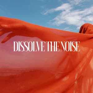 Dissolve the Noise: A Journey to Stillness - Calm Music Zone