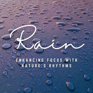 Mindful Rainfall: Enhancing Focus with Nature's Rhythms - Worldwide Nature Studios
