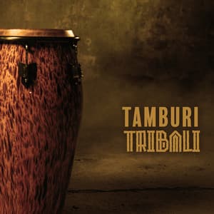 Tamburi tribali - Li Pash