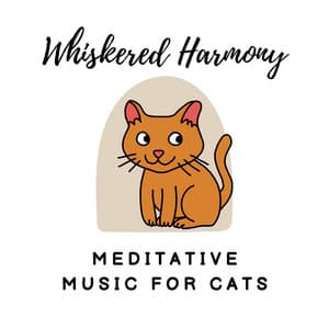 Whiskered Harmony: Meditative Music for Cats - Modal Colours