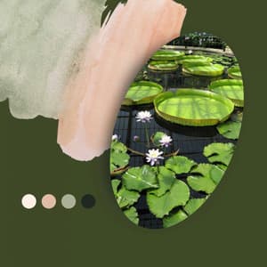 Ambiance for Spring Rest - Musica para Estudiar Playlist