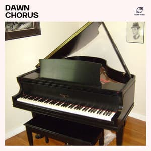 Dawn Chorus: Morning Piano - Piano Music Collection